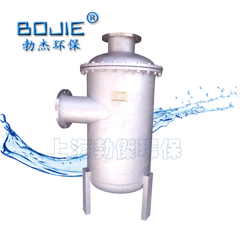 DN300BJQCH沼氣氣水分離器